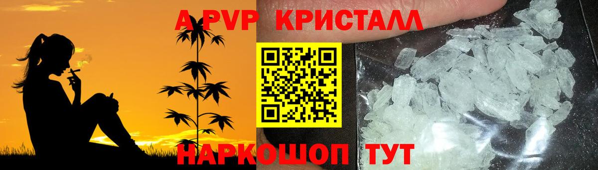 A-PVP СК Долгопрудный