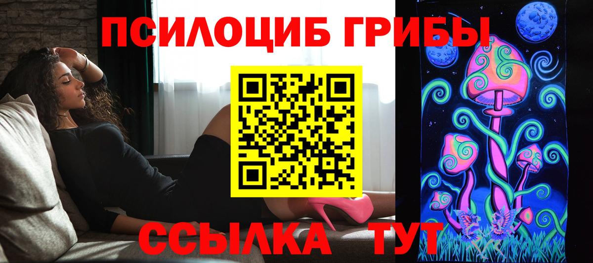 Галлюциногенные грибы Psilocybine cubensis Долгопрудный